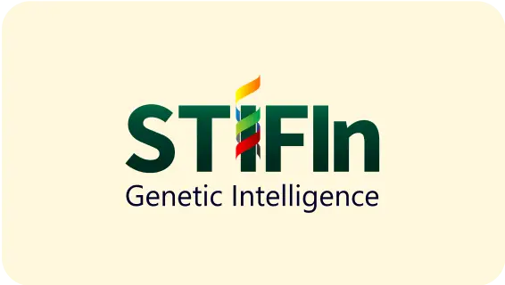 Tes STIFIn Ahe Tes STIFIn Ahe